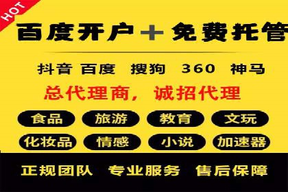 深入了解SEM代运营服务公司的技术实力